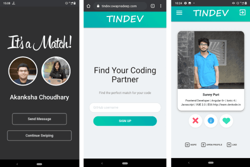 screenshot of TinDev project